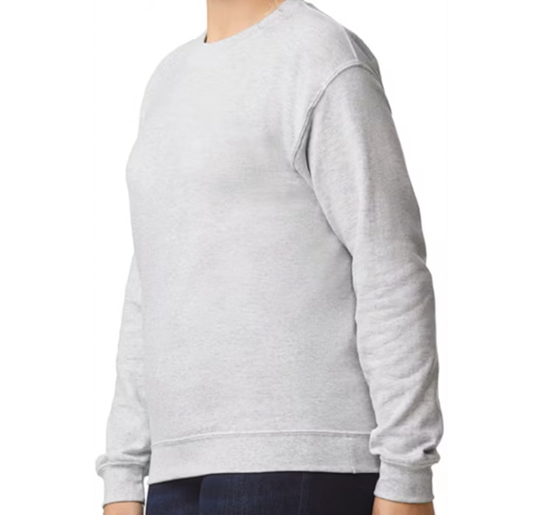College Sweatshirt - customizaton