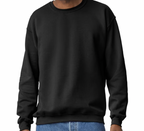 College Sweatshirt - customizaton